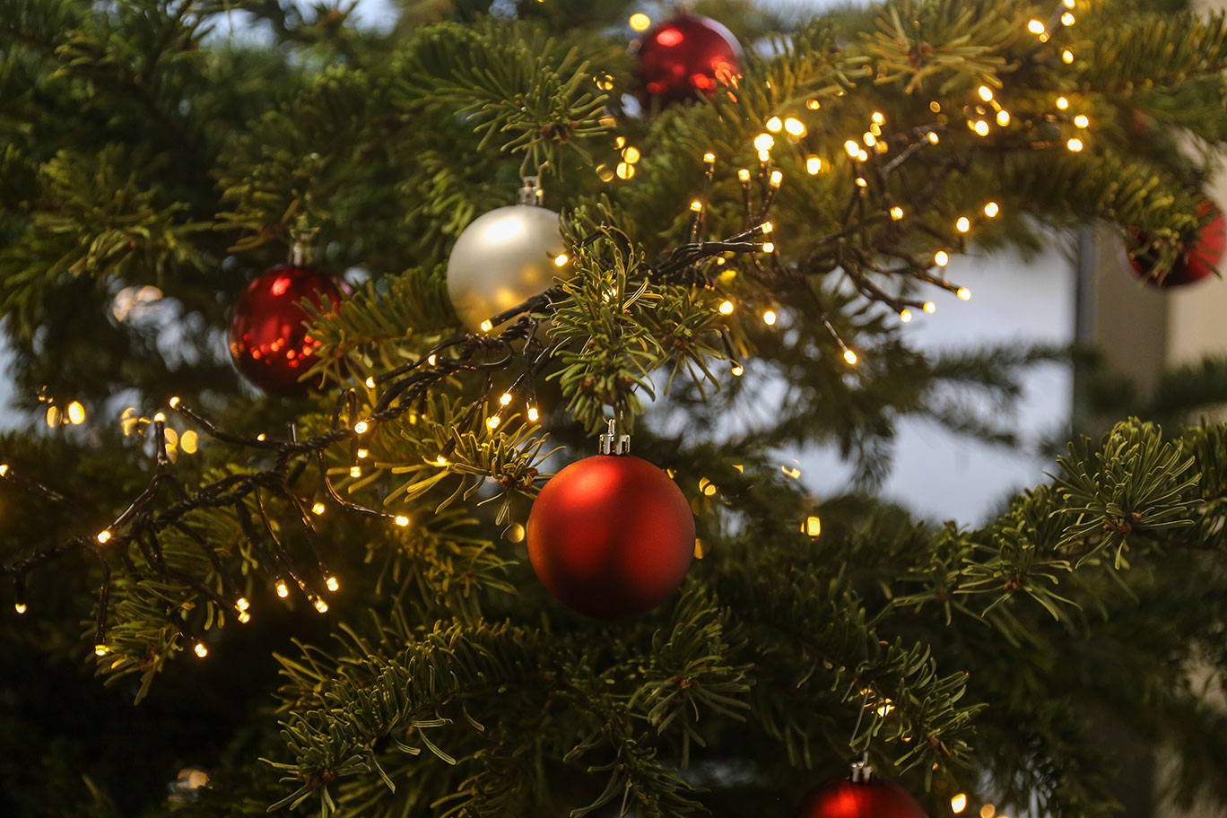Bildauschnitt Weihnachtsbaum